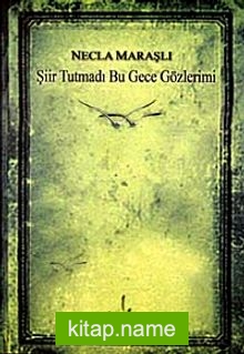 Şiir Tutmadı Bu Gece Gözlerimi