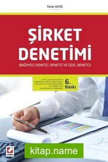 Şirket Denetimi Bağımsız Denetçi, Denetçi ve Özel Denetçi