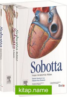 Sobotta İnsan Anatomisi Atlası (3 Cilt)