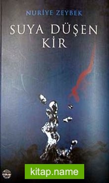 Suya Düşen Kir
