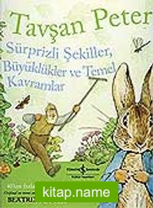 Tavşan Peter-Sürprizli Şekiller, Büyüklükler ve Temel Kavramlar