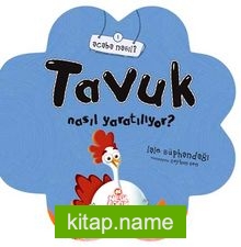 Tavuk Nasıl Yaratılıyor?