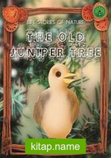 The Old Juniper Tree