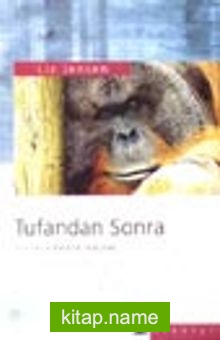 Tufandan Sonra