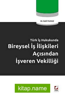 Türkiye İş Hukunda Bireysel İş İlişkileri  Açısından İşveren Vekilliği