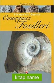Türkiye’nin Önemli Omurgasız Fosilleri