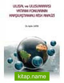 Ulusal ve Uluslararası Yatırım Fonlarının Karşılaştırmalı Risk Analizi