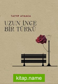 Uzun İnce Bir Türkü