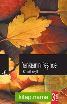 Yankısının Peşinde