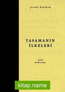 Yasamanın İlkeleri