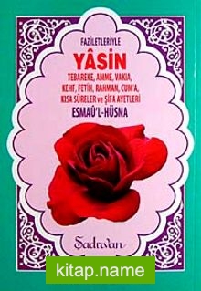 Yasin Tebareke, Amme, Vakıa, Kehf, Fetih, Rahman, Cum’a, KısaSureler ve Şifa Ayetleri (Hafız Boy)