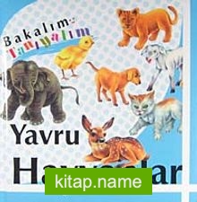 Yavru Hayvanlar / Bakalım Tanıyalım