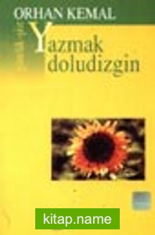 Yazmak Doludizgin