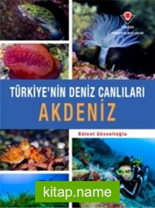 Akdeniz – Türkiye’nin Deniz Canlıları