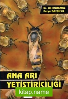 Ana Arı Yetiştiriciliği