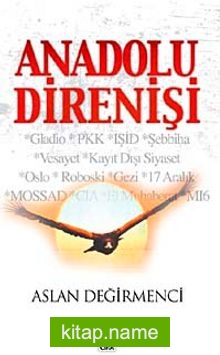 Anadolu Direnişi