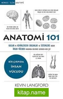 Anatomi 101