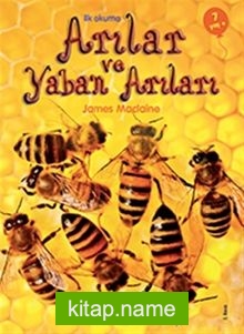 Arılar / İlk Okuma