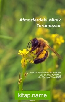 Atmosferdeki Minik Yaramazlar