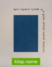 Aynı Rüyanın İçinde Ara Güler – Ahmet Hamdi Tanpınar