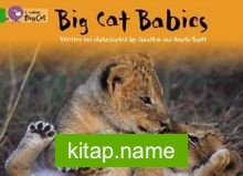 Big Cat Babies (Big Cat 5 Green)