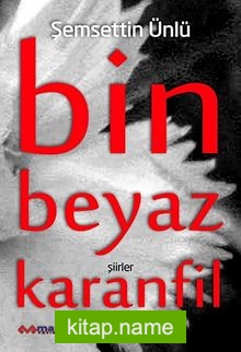 Bin Beyaz Karanfil