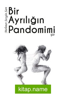 Bir Ayrılığın Pandomimi