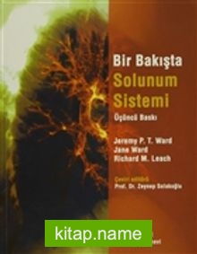 Bir Bakışta Solunum Sistemi