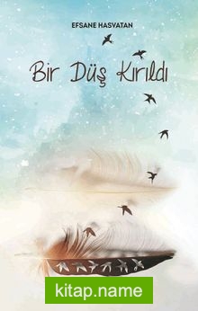 Bir Düş Kırıldı