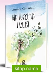 Bir Duygudan Fazlası