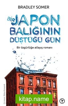 Bir Japon Balığının Düştüğü Gün