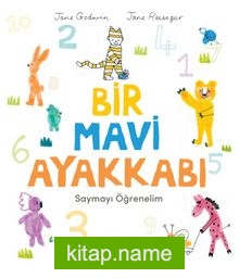 Bir Mavi Ayakkabı / Saymayı Öğrenelim