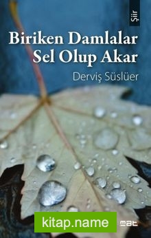 Biriken Damlalar Sel Olup Akar