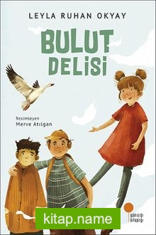 Bulut Delisi