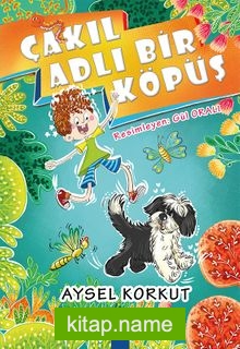 Çakıl Adlı Bir Köpüş