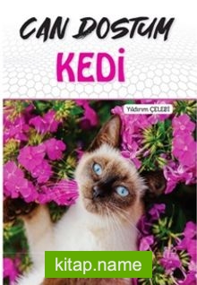 Can Dostum Kedi