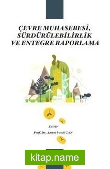 Çevre Muhasebesi, Sürdürülebilirlik ve Entegre Raporlama