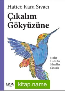 Çıkalım Gökyüzüne