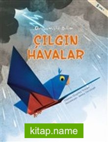 Çılgın Havalar – Origamiyle Bilim