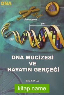 DNA Mucizesi ve Hayatın Gerçekleri