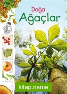 Doğa / Ağaçlar