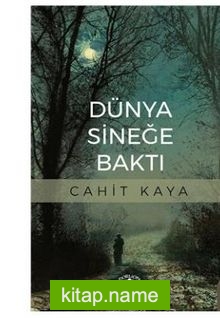 Dünya Sineğe Baktı