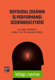 Duygusal Zekanın İş Performansı Üzerindeki Etkisi