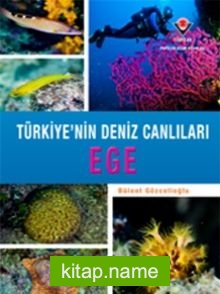 Ege – Türkiye’nin Deniz Canlıları