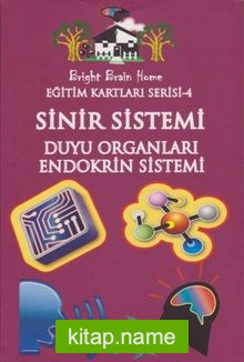 Eğitim Kartları Serisi 4 / Sinir Sistemi Duyu Organları-Endokrin Sistemi