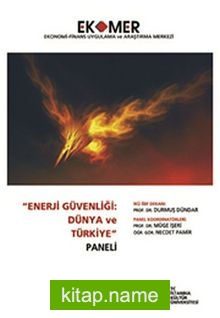 Enerji Güvenliği Dünya ve Türkiye Paneli 2010