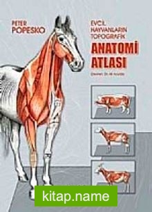 Evcil Hayvanların Topografik Anatomi Atlası Popesko