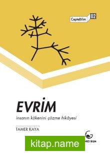 Evrim İnsanın Kökenini Çözme Hikayesi