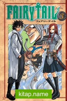 Fairy Tail 3