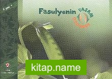 Fasulyenin Yaşam Döngüsü